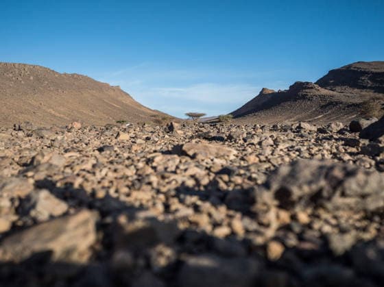 W2RC - RALLYE DU MAROC 2026 landscape, paysage, during the Stage 5 of the Rallye du Maroc 2026, 4th round of the 2026 WR2C Championship from October 3, 2026 around Zagora, Morocco - AgadirMorocco  Copyright: xFREDERICxLExFLOCxHx
