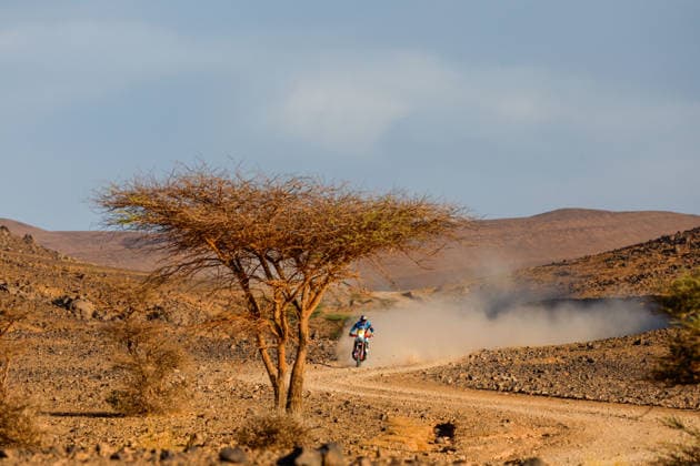 W2RC - RALLYE DU MAROC 2026 73 CANET Edgar (esp), Red Bull KTM Factory Racing, KTM 450 Rally Factory, FIM W2RC, Rally GP J, action, during the Stage 5 of the Rallye du Maroc 2026, 4th round of the 2026 WR2C Championship from October 3, 2026 around Zagora, Morocco - AgadirMorocco  Copyright: xFREDERICxLExFLOCxHx