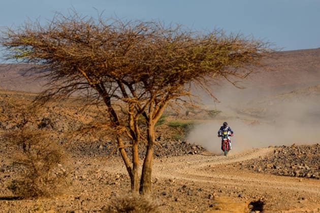 W2RC - RALLYE DU MAROC 2026 09 BRABEC Ricky (usa), Monster Energy Honda HRC, Honda CRF 450, FIM W2RC, Rally GP, action, during the Stage 5 of the Rallye du Maroc 2026, 4th round of the 2026 WR2C Championship from October 3, 2026 around Zagora, Morocco - AgadirMorocco  Copyright: xFREDERICxLExFLOCxHx
