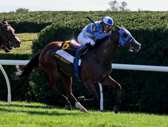 HORSE RACING 2026: Coolmore Turf Mile Day Keeneland OCT 03 October 3, 2026, Lexington, Ky, USA: Joe Shiesty (6) ridden by Fernando De La Cruz wins the Woodford Stakes presented by Fanduel (Grade 2) on Coolmore Turf Mile Day at Keeneland in Lexington, Kentucky on October 3, 2026. Casey Laughter Eclipse Sportswire CSM(Credit Image: Â Casey Laughter Cal Media) Lexington Ky USA EDITORIAL USE ONLY Copyright: xx ZUMA-20261003_faf_cs17_012.jpg CaseyxLaughterx csmphotothree529052
