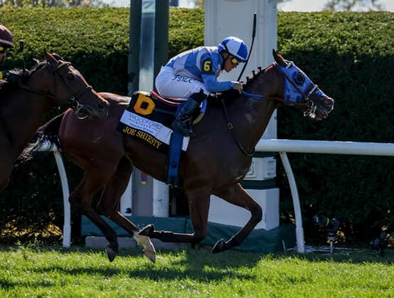 HORSE RACING 2026: Coolmore Turf Mile Day Keeneland OCT 03 October 3, 2026, Lexington, Ky, USA: Joe Shiesty (6) ridden by Fernando De La Cruz wins the Woodford Stakes presented by Fanduel (Grade 2) on Coolmore Turf Mile Day at Keeneland in Lexington, Kentucky on October 3, 2026. Casey Laughter Eclipse Sportswire CSM(Credit Image: Â Casey Laughter Cal Media) Lexington Ky USA EDITORIAL USE ONLY Copyright: xx ZUMA-20261003_faf_cs17_018.jpg CaseyxLaughterx csmphotothree529059