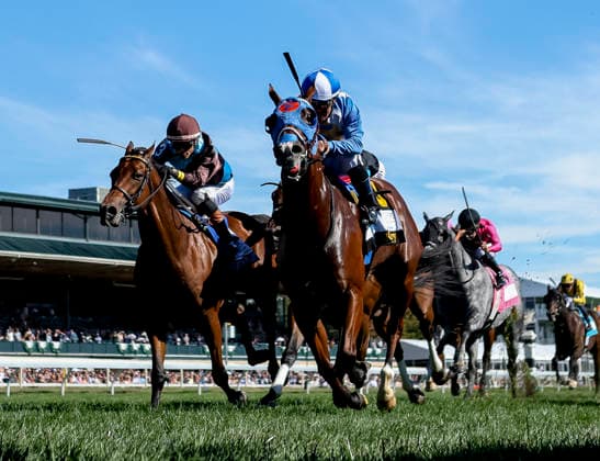 October 3, 2026, Lexington, Ky, USA: Joe Shiesty (6) ridden by Fernando De La Cruz wins the Woodford Stakes presented by Fanduel (Grade 2) on Coolmore Turf Mile Day at Keeneland in Lexington, Kentucky on October 3, 2026. Eclipse Sportswire CSM Lexington USA - ZUMAcs17 20261003_faf_cs17_017 Copyright: xCaseyxLaughterx