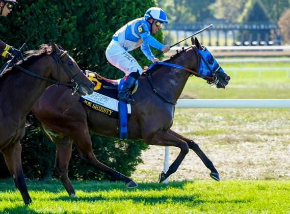 October 3, 2026, Lexington, Ky, USA: Joe Shiesty (6) ridden by Fernando De La Cruz wins the Woodford Stakes presented by Fanduel (Grade 2) on Coolmore Turf Mile Day at Keeneland in Lexington, Kentucky on October 3, 2026. Eclipse Sportswire CSM Lexington USA - ZUMAcs17 20261003_faf_cs17_025 Copyright: xJessicaxMorganx