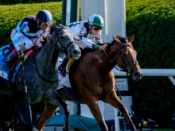 October 3, 2026, Lexington, Ky, USA: Classic Q (9) ridden by John Velazquez wins the First Lady Stakes (Grade 1) on Coolmore Turf Mile Day at Keeneland in Lexington, Kentucky on October 3, 2026. Eclipse Sportswire CSM Lexington USA - ZUMAcs17 20261003_faf_cs17_069 Copyright: xJessicaxMorganx