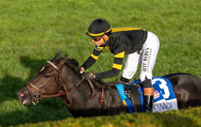 HORSE RACING 2026: Coolmore Turf Mile WAYI Keeneland OCT 03 October 3, 2026, Lexington, Ky, USA: Rhetorical (3) ridden by Irad Ortiz Jr. wins the Coolmore Turf Mile on October 3, 2026. Candice Chavez Eclipse Sportswire CSM(Credit Image: Â {Serial Cal Media) Lexington Ky USA EDITORIAL USE ONLY Copyright: xx ZUMA-20261003_faf_cs17_127.jpg {Serialx csmphotothree529183