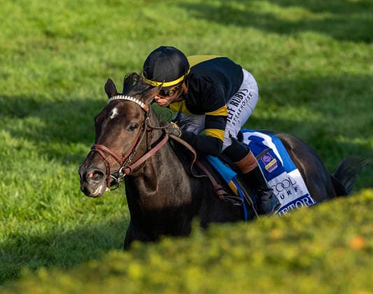 HORSE RACING 2026: Coolmore Turf Mile WAYI Keeneland OCT 03 October 3, 2026, Lexington, Ky, USA: Rhetorical (3) ridden by Irad Ortiz Jr. wins the Coolmore Turf Mile on October 3, 2026. Candice Chavez Eclipse Sportswire CSM(Credit Image: Â {Serial Cal Media) Lexington Ky USA EDITORIAL USE ONLY Copyright: xx ZUMA-20261003_faf_cs17_135.jpg {Serialx csmphotothree529198