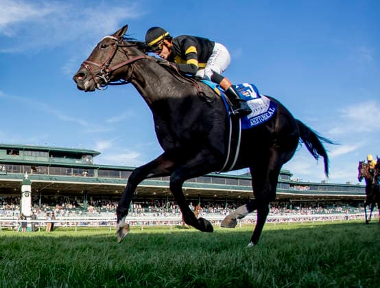 HORSE RACING 2026: Coolmore Turf Mile WAYI Keeneland OCT 03 October 3, 2026, Lexington, Ky, USA: Rhetorical (3) ridden by Irad Ortiz, Jr. wins the Coolmore Turf Mile Stakes (Grade 1) at Keeneland in Lexington, Kentucky on October 3, 2026. Casey Laughter Eclipse Sportswire CSM(Credit Image: Â Casey Laughter Cal Media) Lexington Ky USA EDITORIAL USE ONLY Copyright: xx ZUMA-20261003_faf_cs17_149.jpg CaseyxLaughterx csmphotothree529210