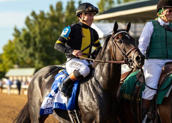 October 3, 2026, Lexington, Ky, USA: Rhetorical (3) ridden by Irad Ortiz Jr. wins the Coolmore Turf Mile on October 3, 2026. Candice Chavez Eclipse Sportswire CSM Lexington USA - ZUMAcs17 20261003_faf_cs17_156 Copyright: x {Serialx