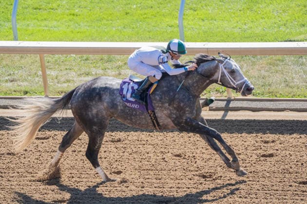 October 3, 2026, Lexington, Kentucky, USA: Who Dey (10) ridden by Brian Hernandez Jr. wins an allowance on Coolmore Turf Mile Day on October 3, 2026. Jessica Morgan Eclipse Sportswire CSM Lexington USA - ZUMAcs17 20261003_faf_cs17_186 Copyright: x01354200x