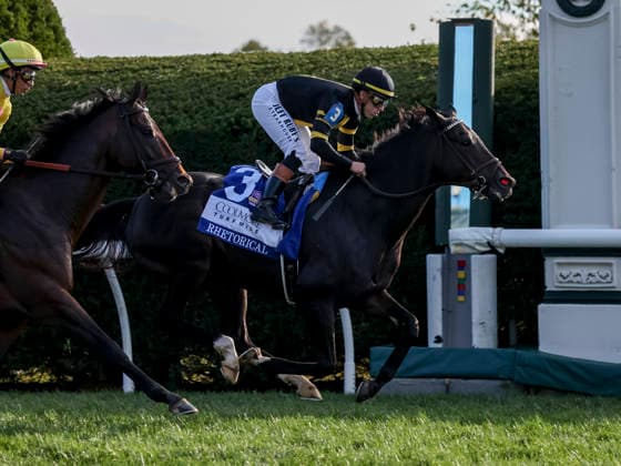 October 3, 2026, Lexington, Ky, USA: Rhetorical (3) ridden by Irad Ortiz, Jr. wins the Coolmore Turf Mile Stakes (Grade 1) at Keeneland in Lexington, Kentucky on October 3, 2026. Eclipse Sportswire CSM Lexington USA - ZUMAcs17 20261003_faf_cs17_129 Copyright: xCaseyxLaughterx