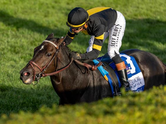 October 3, 2026, Lexington, Ky, USA: Rhetorical (3) ridden by Irad Ortiz Jr. wins the Coolmore Turf Mile on October 3, 2026. Candice Chavez Eclipse Sportswire CSM Lexington USA - ZUMAcs17 20261003_faf_cs17_141 Copyright: x {Serialx
