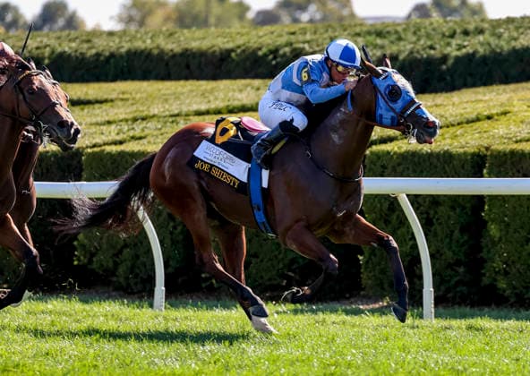 HORSE RACING 2026: Coolmore Turf Mile Day Keeneland OCT 03 October 3, 2026, Lexington, Ky, USA: Joe Shiesty (6) ridden by Fernando De La Cruz wins the Woodford Stakes presented by Fanduel (Grade 2) at Keeneland in Lexington, Kentucky on October 3, 2026. Tim Sudduth Eclipse Sportswire CSM(Credit Image: Â Tim Sudduth Cal Media) Lexington Ky USA EDITORIAL USE ONLY Copyright: xx ZUMA-20261003_faf_cs17_261.jpg TimxSudduthx csmphotothree530199