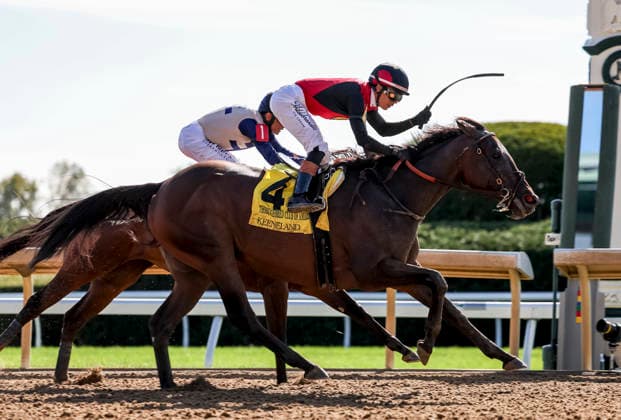 October 3, 2026, Lexington, Ky, USA: Evanescence (4) ridden by Jose Ortiz wins the Thoroughbred Club of America Stakes (Grade 2) at Keeneland in Lexington, Kentucky on October 3, 2026. Eclipse Sportswire CSM Lexington USA - ZUMAcs17 20261003_faf_cs17_306 Copyright: xTimxSudduthx