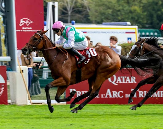October 4, 2026, Paris, USA: Amusingly (GB) (10) ridden by Colin Keane wins the Qatar Prix Jean-luc Lagardere (Group 1) during Qatar Prix de lÃ¢â‚¬â ¢arc de Triomphe day at Longchamp Racecourse in Paris, France on October 4, 2026. Eclipse Sportswire CSM Paris USA - ZUMAcs17 20261004_faf_cs17_043 Copyright: xSandraxScherningx