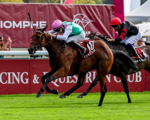 October 4, 2026, Paris, USA: Amusingly (GB) (10) ridden by Colin Keane wins the Qatar Prix Jean-luc Lagardere (Group 1) during Qatar Prix de lÃ¢â‚¬â ¢arc de Triomphe day at Longchamp Racecourse in Paris, France on October 4, 2026. Eclipse Sportswire CSM HORSE RACING 2026: Qatar Prix De LÃ¢â‚¬â ¢Arc De Triomphe Day Longchamp OCT 04  - ZUMAcs17 20261004_faf_cs17_041 Copyright: xSandraxScherningx