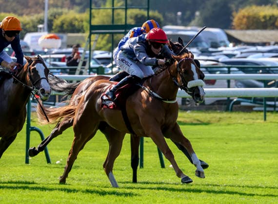 October 4, 2026, Paris, USA: Miss Yechance (9) ridden by Jack Nicholls wins the Prix De LÃ¢â‚¬â ¢abbaye Longchamp Longines (Group 1) during Qatar Prix de lÃ¢â‚¬â ¢arc de Triomphe day at Longchamp Racecourse in Paris, France on October 4, 2026. Eclipse Sportswire CSM HORSE RACING 2026: Qatar Prix De LÃ¢â‚¬â ¢Arc De Triomphe Day Longchamp OCT 04  - ZUMAcs17 20261004_faf_cs17_053 Copyright: xSandraxScherningx