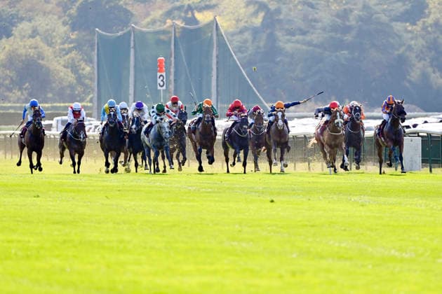 04.10.2026, Longchamp, Paris, FRA - Miss Yechance (third from right) with Jack Nicholls up wins the Prix de l Abbaye. ParisLongchamp racecourse. (Pferd, Jockey, Miss Yechance, Nicholls, Sieg, Ziel, Zielankunft) 261004C972LONGCHAMP.JPG
