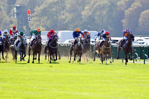 04.10.2026, Longchamp, Paris, FRA - Miss Yechance (second from right) with Jack Nicholls up wins the Prix de l Abbaye. ParisLongchamp racecourse. (Pferd, Jockey, Miss Yechance, Nicholls, Sieg, Ziel, Zielankunft) 261004C973LONGCHAMP.JPG
