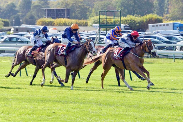 04.10.2026, Longchamp, Paris, FRA - Miss Yechance with Jack Nicholls up wins the Prix de l Abbaye. ParisLongchamp racecourse. (Pferd, Jockey, Miss Yechance, Nicholls, Sieg, Ziel, Zielankunft) 261004C974LONGCHAMP.JPG