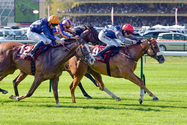 04.10.2026, Longchamp, Paris, FRA - Miss Yechance with Jack Nicholls up wins the Prix de l Abbaye. ParisLongchamp racecourse. (Pferd, Jockey, Miss Yechance, Nicholls, Sieg, Ziel, Zielankunft) 261004C975LONGCHAMP.JPG