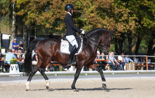 2026.10.04, Deutschland, Ludwigsburg Reiten Dressur Preis der BW - Bank, Siegerin Ann-Kathrin Lindner (RV Ilsfeld) auf Weidners Dark Knight