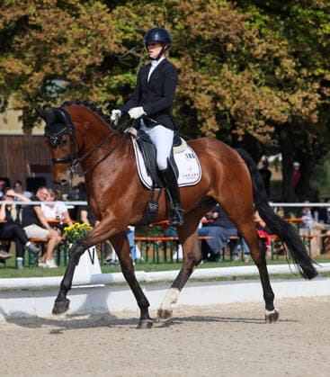 2026.10.04, Deutschland, Ludwigsburg Reiten Dressur Preis der BW - Bank, Ann-Kathrin Lindner (RV Ilsfeld) auf Vitasprint (3. Platz)