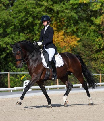2026.10.04, Deutschland, Ludwigsburg Reiten Dressur Preis der BW - Bank, Siegerin Ann-Kathrin Lindner (RV Ilsfeld) auf Weidners Dark Knight