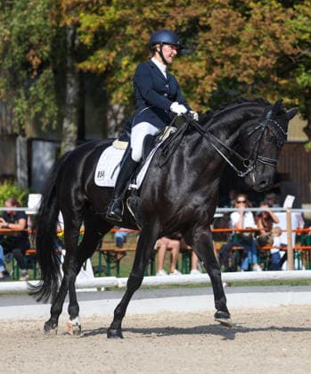 2026.10.04, Deutschland, Ludwigsburg Reiten Dressur Preis der BW - Bank, Tanja Vogel (RFV Ludwigsburg-Ossweil) auf L Amaretto, 2. Platz)