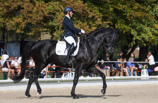 2026.10.04, Deutschland, Ludwigsburg Reiten Dressur Preis der BW - Bank, Tanja Vogel (RFV Ludwigsburg-Ossweil) auf L Amaretto, 2. Platz)