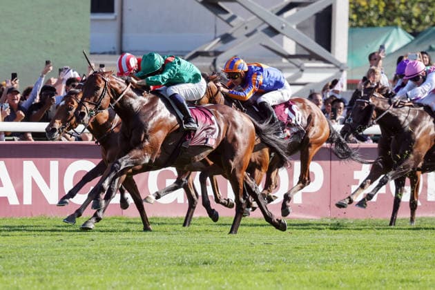 04.10.2026, Longchamp, Paris, FRA - Daryz with Mickael Barzalona up wins the Qatar Prix de l Arc de Triomphe. ParisLongchamp racecourse. (Pferd, Jockey, Daryz, Barzalona, Sieg, Ziel, Zielankunft) 261004D540LONGCHAMP.JPG