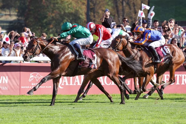 04.10.2026, Longchamp, Paris, FRA - Daryz with Mickael Barzalona up wins the Qatar Prix de l Arc de Triomphe. ParisLongchamp racecourse. (Pferd, Jockey, Daryz, Barzalona, Sieg, Ziel, Zielankunft) 261004D541LONGCHAMP.JPG