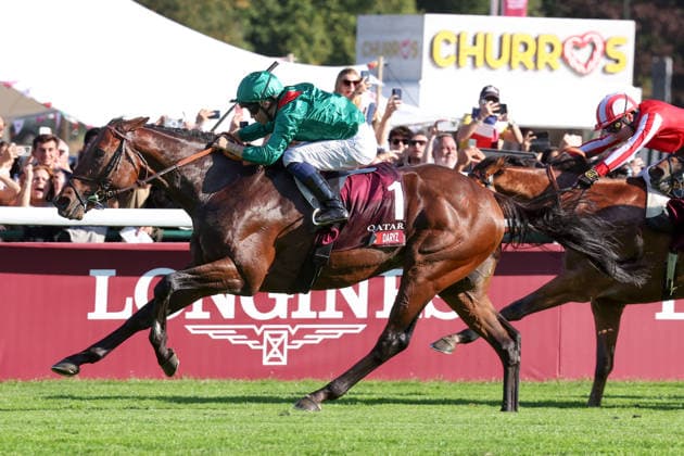04.10.2026, Longchamp, Paris, FRA - Daryz with Mickael Barzalona up wins the Qatar Prix de l Arc de Triomphe. ParisLongchamp racecourse. (Pferd, Jockey, Daryz, Barzalona, Sieg, Ziel, Zielankunft) 261004D542LONGCHAMP.JPG