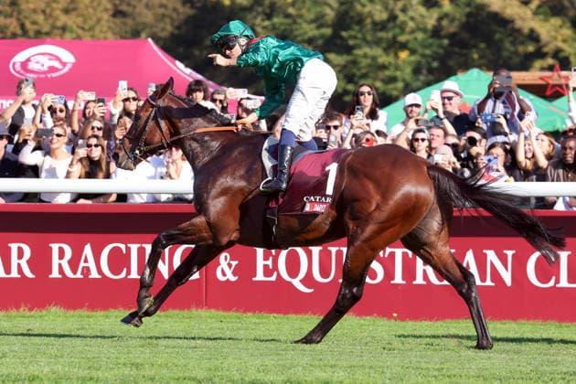 04.10.2026, Longchamp, Paris, FRA - Daryz with Mickael Barzalona up wins the Qatar Prix de l Arc de Triomphe. ParisLongchamp racecourse. (Pferd, Jockey, Daryz, Barzalona, Sieg, Ziel, Zielankunft) 261004D543LONGCHAMP.JPG