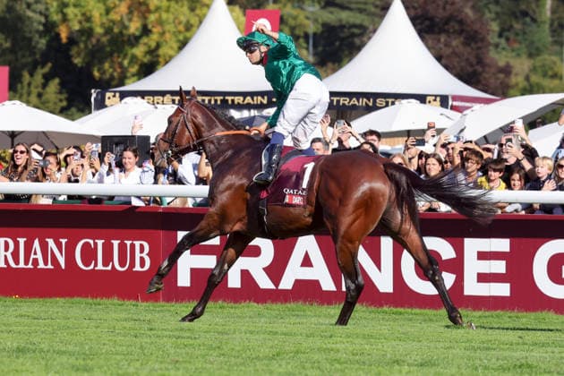 04.10.2026, Longchamp, Paris, FRA - Daryz with Mickael Barzalona up wins the Qatar Prix de l Arc de Triomphe. ParisLongchamp racecourse. (Pferd, Jockey, Daryz, Barzalona, Sieg, Ziel, Zielankunft) 261004D544LONGCHAMP.JPG