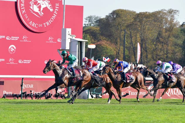 04.10.2026, Longchamp, Paris, FRA - Daryz with Mickael Barzalona up wins the Qatar Prix de l Arc de Triomphe. ParisLongchamp racecourse. (Pferd, Jockey, Daryz, Barzalona, Sieg, Ziel, Zielankunft) 261004C979LONGCHAMP.JPG