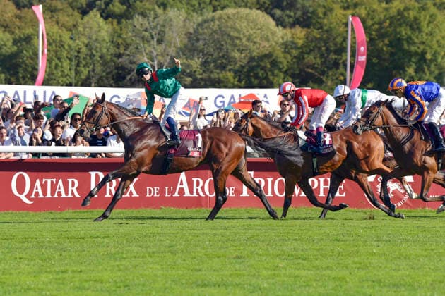 04.10.2026, Longchamp, Paris, FRA - Daryz with Mickael Barzalona up wins the Qatar Prix de l Arc de Triomphe. ParisLongchamp racecourse. (Pferd, Jockey, Daryz, Barzalona, Sieg, Ziel, Zielankunft) 261004C980LONGCHAMP.JPG