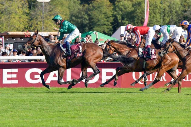 04.10.2026, Longchamp, Paris, FRA - Daryz with Mickael Barzalona up wins the Qatar Prix de l Arc de Triomphe. ParisLongchamp racecourse. (Pferd, Jockey, Daryz, Barzalona, Sieg, Ziel, Zielankunft) 261004C981LONGCHAMP.JPG