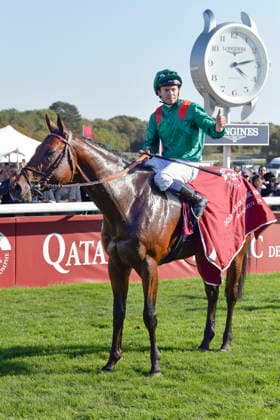 04.10.2026, Longchamp, Paris, FRA - Daryz with Mickael Barzalona up after winning the Qatar Prix de l Arc de Triomphe. ParisLongchamp racecourse. (Pferd, Jockey, Daryz, Barzalona, Sieg) 261004C983LONGCHAMP.JPG