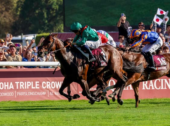 HORSE RACING 2026: Qatar Prix De LÃ¢â‚¬â ¢Arc De Triomphe Day Longchamp OCT 04 October 4, 2026, Paris, USA: Daryz (1) ridden by Mickael Barzalona wins the Qatar Prix de lÃ¢â‚¬â ¢arc de Triomphe (Group 1) at Longchamp Racecourse in Paris, France on October 4, 2026. Sandra Scherning Eclipse Sportswire CSM(Credit Image: Â Sandra Scherning Cal Media) Paris USA EDITORIAL USE ONLY Copyright: xx ZUMA-20261004_faf_cs17_070.jpg SandraxScherningx csmphotothree530733
