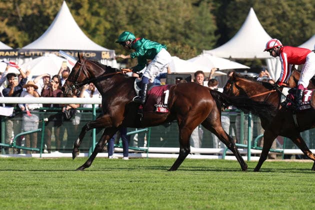 04.10.2026, xsefx, Pferdesport, Galopprennen in Paris-Longchamp, Eindrücke rund um den Prix de l Arc de Triomphe: Daryz siegt unter Jockey Mickael Barzalona im Qatar Prix de L Arc de Triomphe, Group 1 Frankreich