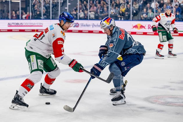 Kampf um den Puck Zweikampf zwischen Alec McCrea (Augsburger Panther, 03) und Veit Oswald (EHC Red Bull Muenchen, 27) GER, EHC Red Bull Muenchen vs. Augsburger Panther, DEL, Saison 2026 2027, 6. Spieltag, 04.10.2026. Foto: HMB Media Heike Feiner Copyright: HMBxMedia HeikexFeiner