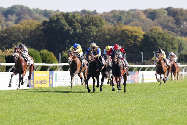 04.10.2026, Duesseldorf, Nordrhein-Westfalen, GER - Siel mit Andrea Ricupa (rote Kappe) gewinnt. Galopprennbahn Duesseldorf-Grafenberg. (Pferd, Jockey, Siel, Ricupa, Sieg, Ziel, Zielankunft) 261004SG785DUESSELDORF.JPG