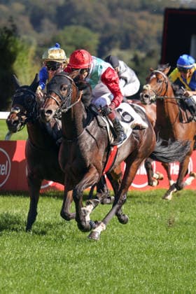 04.10.2026, Duesseldorf, Nordrhein-Westfalen, GER - Siel mit Andrea Ricupa gewinnt. Galopprennbahn Duesseldorf-Grafenberg. (Pferd, Jockey, Siel, Ricupa, Sieg, Ziel, Zielankunft) 261004SG786DUESSELDORF.JPG