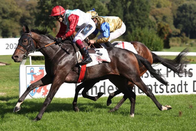 04.10.2026, Duesseldorf, Nordrhein-Westfalen, GER - Siel mit Andrea Ricupa gewinnt. Galopprennbahn Duesseldorf-Grafenberg. (Pferd, Jockey, Siel, Ricupa, Sieg, Ziel, Zielankunft) 261004SG787DUESSELDORF.JPG