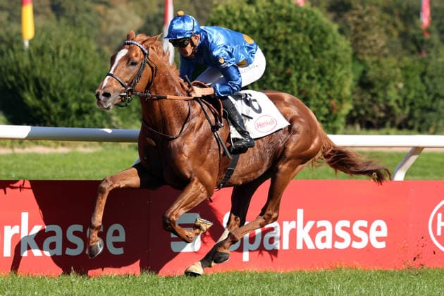 04.10.2026, Duesseldorf, Nordrhein-Westfalen, GER - Daytona mit Bauyrzhan Murzabayev gewinnt. Galopprennbahn Duesseldorf-Grafenberg. (Pferd, Jockey, Daytona, Murzabayev, Sieg, Ziel, Zielankunft) 261004SG789DUESSELDORF.JPG