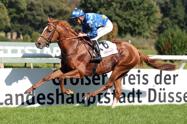 04.10.2026, Duesseldorf, Nordrhein-Westfalen, GER - Daytona mit Bauyrzhan Murzabayev gewinnt. Galopprennbahn Duesseldorf-Grafenberg. (Pferd, Jockey, Daytona, Murzabayev, Sieg, Ziel, Zielankunft) 261004SG790DUESSELDORF.JPG