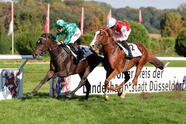 04.10.2026, Duesseldorf, Nordrhein-Westfalen, GER - New Emerald (links) mit Sibylle Vogt gewinnt den Grossen Preis der Landeshauptstadt Duesseldorf. Galopprennbahn Duesseldorf-Grafenberg. (Pferd, Jockey, New Emerald, Vogt, Sieg, Ziel, Zielankunft) 261004SG793DUESSELDORF.JPG