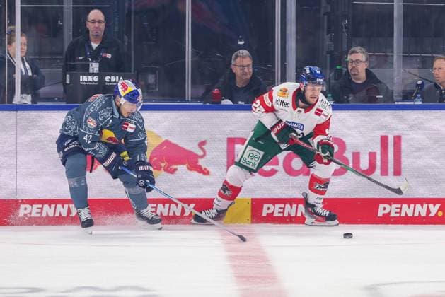 im Zweikampf, Aktion, mit Yasin Ehlitz 42 (EHC Red Bull Muenchen), Noel Hoefenmayer 22 (Augsburger Panther), EHC Red Bull Muenchen vs. Augsburger Panther, 6. Spieltag, Eishockey, Penny-DEL, 03.10.2026 Muenchen Bayern Deutschland