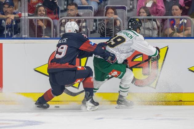 (Mannheim, Germany, 26 10 07) CHL (Champions Hockey League) 2026 27, Match day five: Adler Mannheim (Germany) vs. GKS Tychy (Poland) Max Calce (39, Mannheim) and Olli-Petteri Viinikainen (39, Tychy) in a tussle against the boards Mannheim Baden-Wurttemberg Germany Copyright: xUdoxHerrmannx