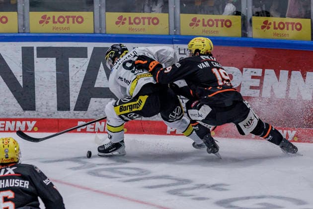 PEnny DEL: Löwen Frankfurt - Krefeld Pinguine, 08.10.2026 Roope Mäkitalo (Krefeld Pinguine 91) und Robin Van Calster (Löwen Frankfurt 19) kämpfen u mden Puck, Löwen Frankfurt - Krefeld Pinguine, Frankfurt, NIX Eissporthalle, 8.10.2026 Copyright: xBEAUTIFULxSPORTS Gawlikx